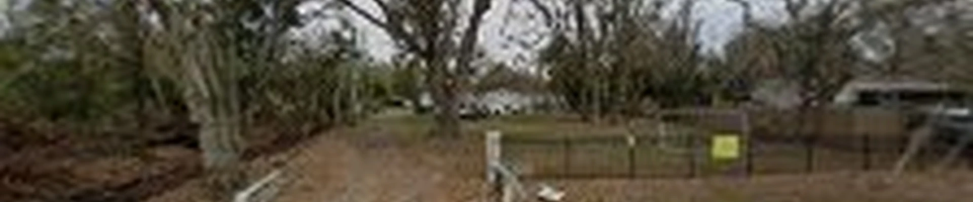 Riverview tree services