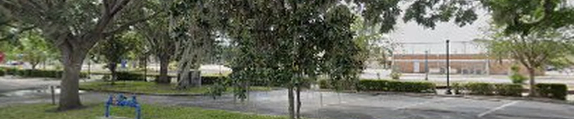 Plant City Tree Service.