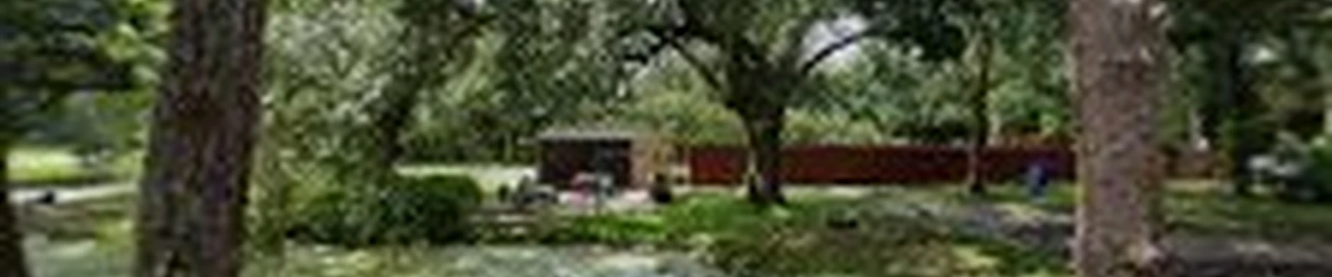 Hi-Point Tree Service