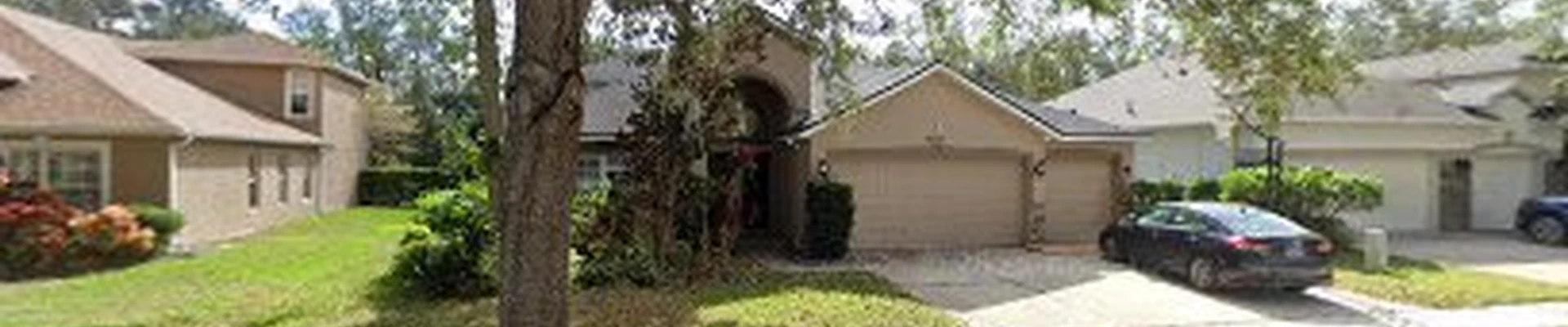 RootForce Tree and Land Service, LLC