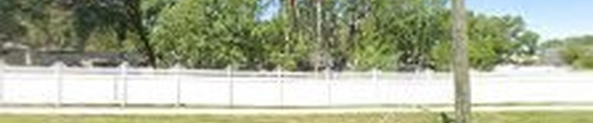 Florida Tree Experts