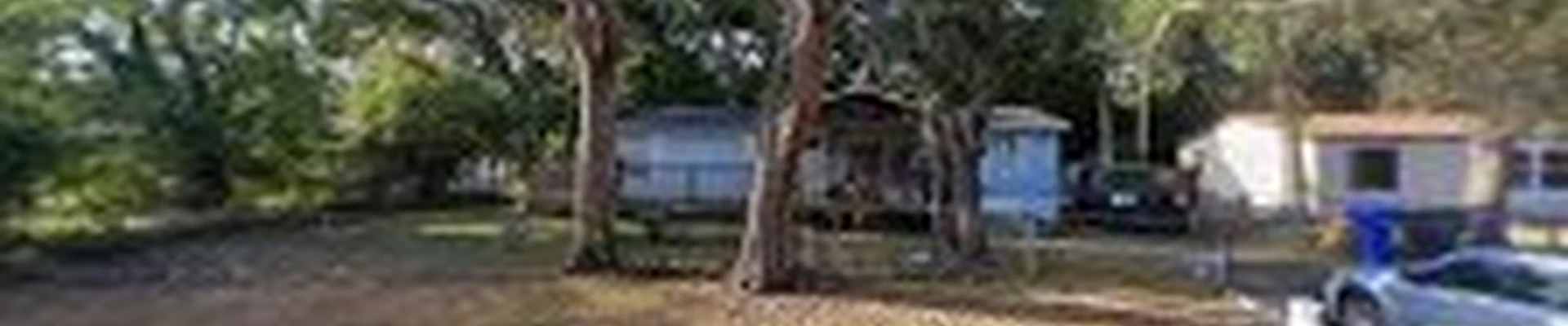 Buccaneer Tree Service