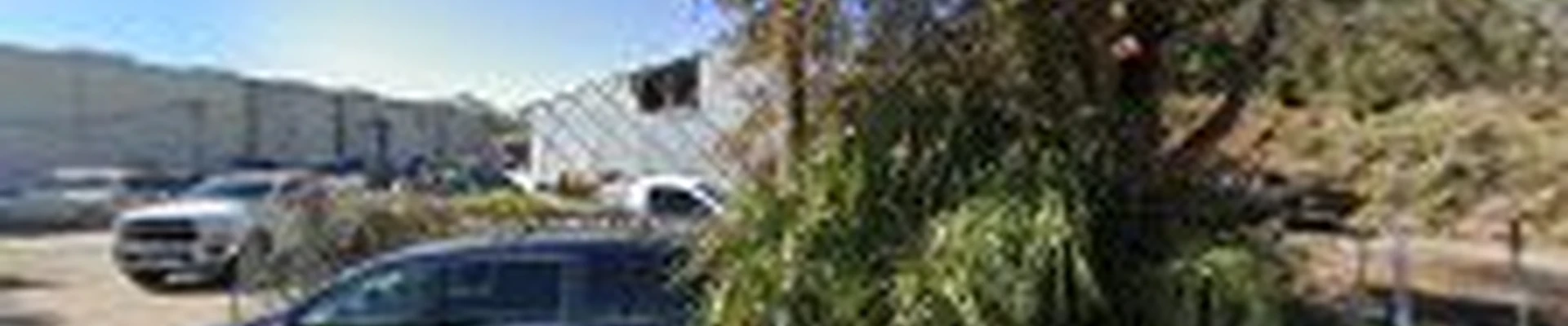 O'Neil's Tree Service