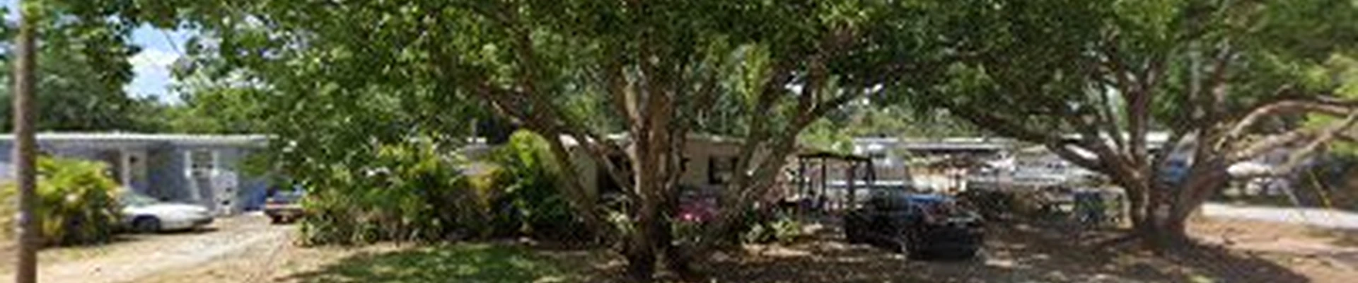Ajs tree care & More