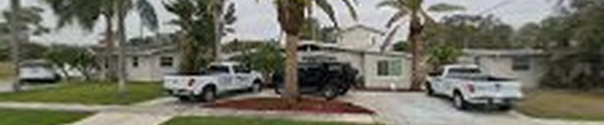 TreeCology Tree Services