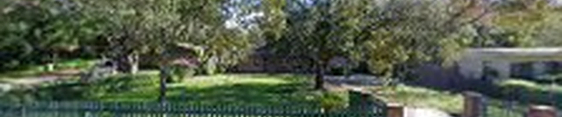 Ags Tree Services