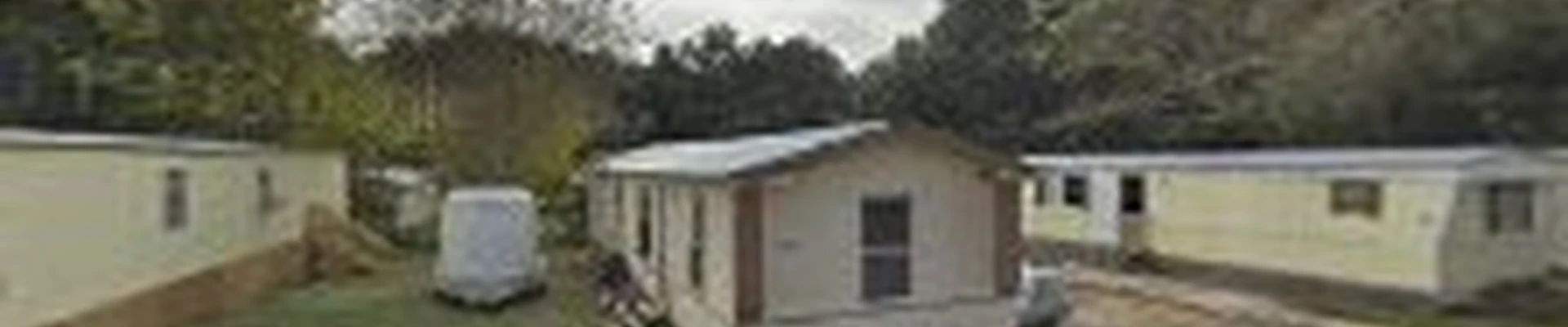 Floridas Best Tree Care