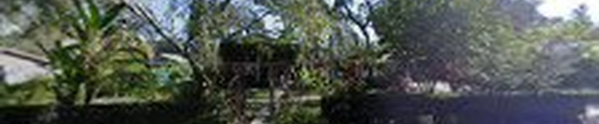 Curb Masters FS, LLC