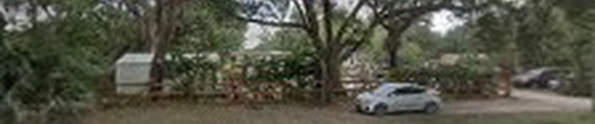 IKES TREE SERVICE
