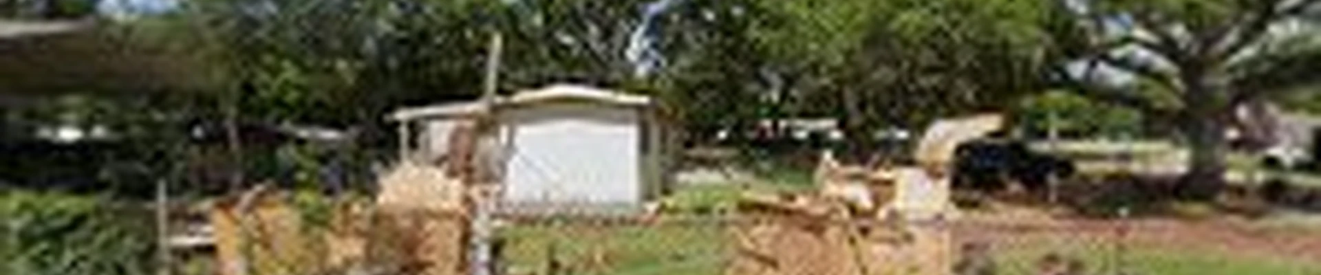 D&D Tree Service, LLC