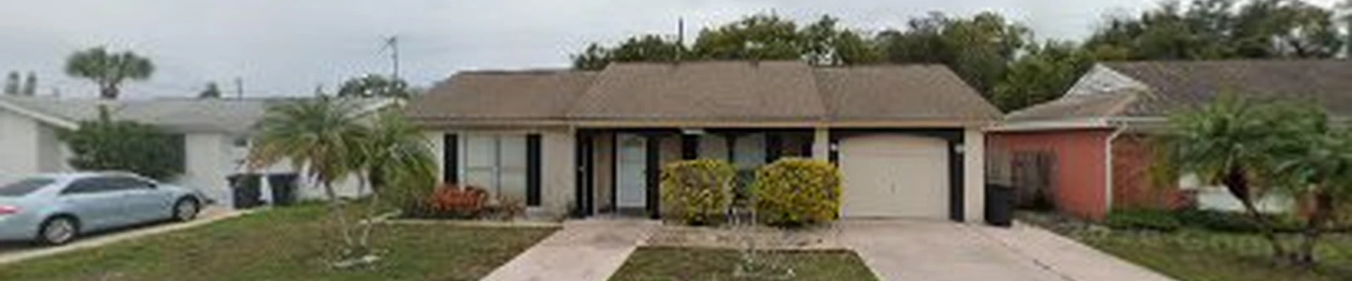 New Port Richey Tree Service