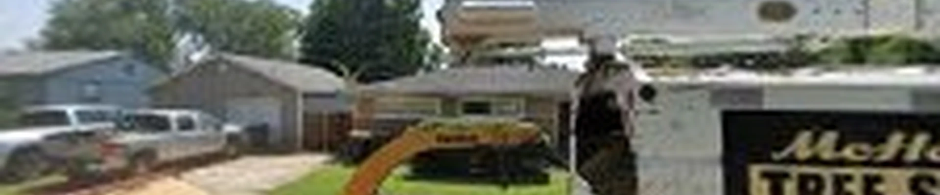 MTS | McHolland Tree Service LLC