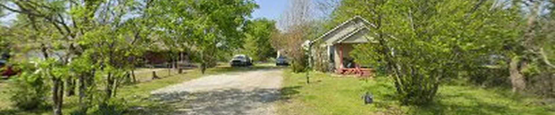 C.B. TREE DESIGN AND RESTORATION