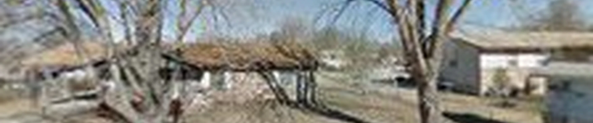 Upper Cuts Tree Services and Stump Grinding, LLC