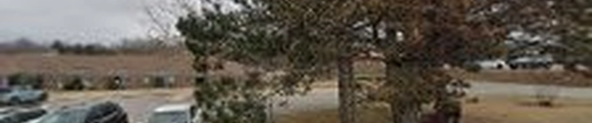 Tate’s Tree Service of Bartlesville