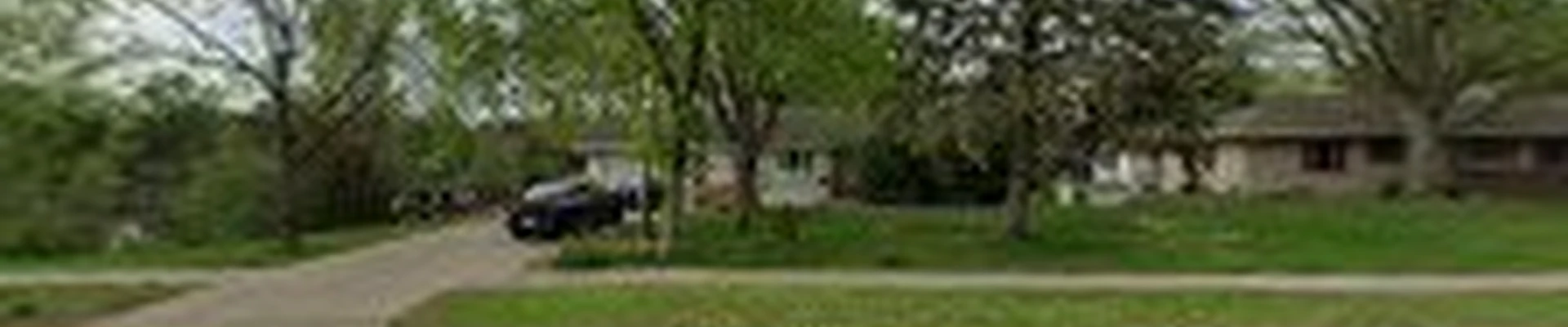 Silver Oak Tree Services