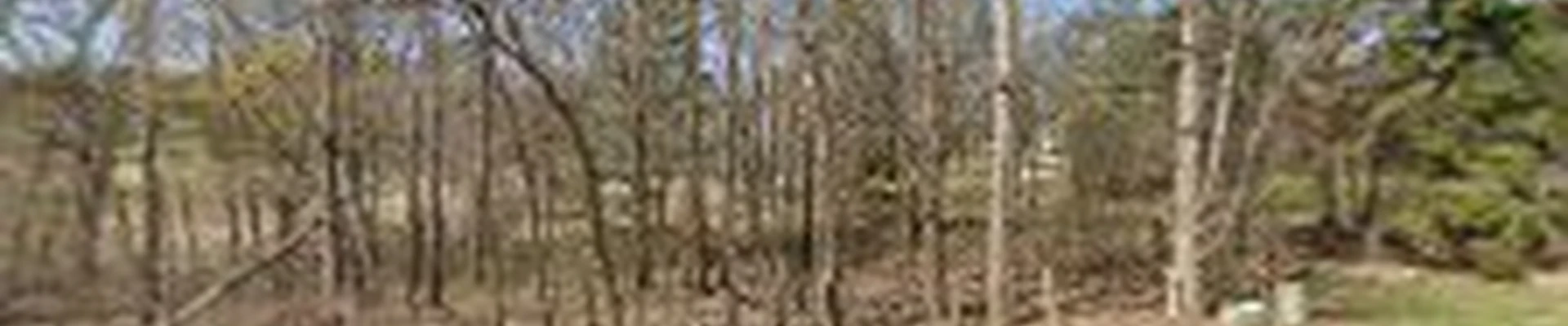 Universitree LLC