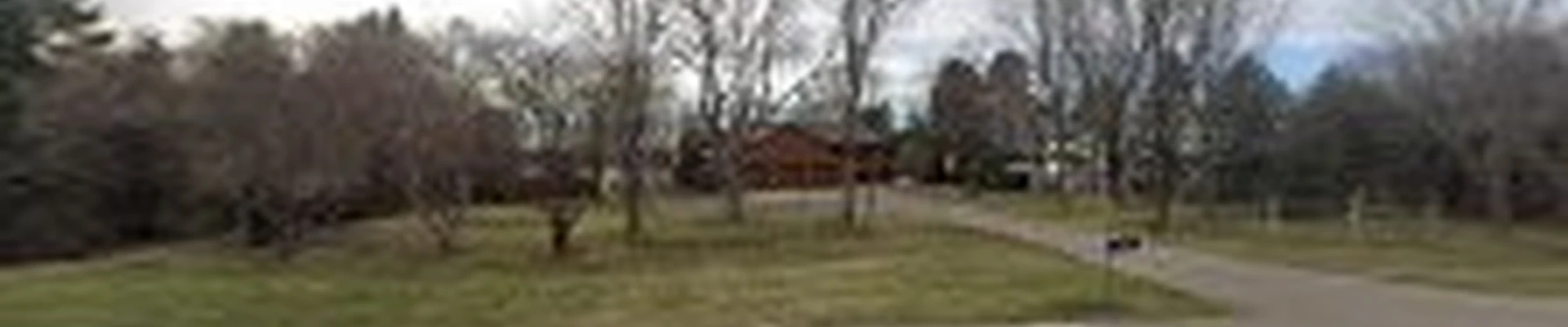 Tree Masters LLC