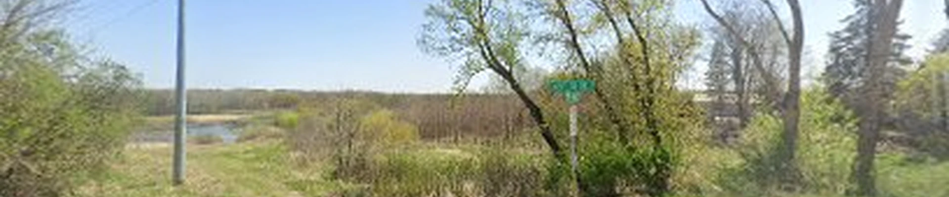 Tree Top Clearing