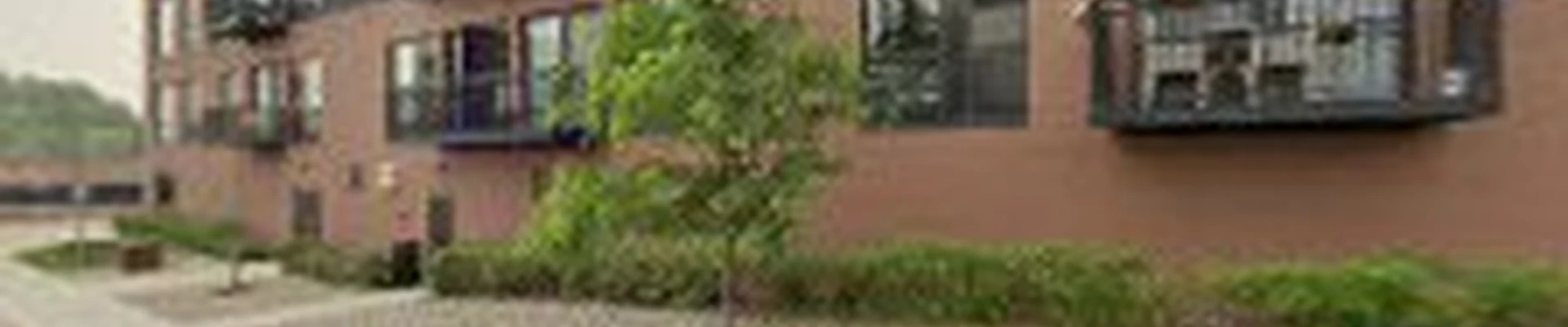 Tree Squad