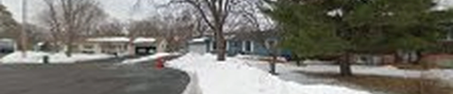 Level-Up Tree Care Service