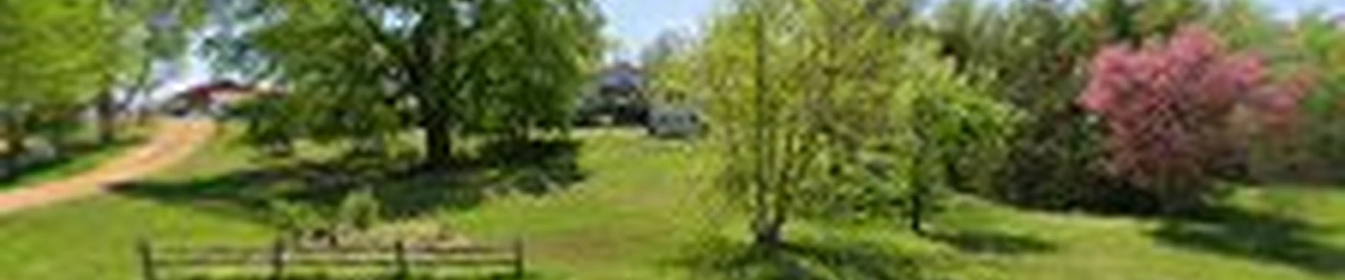 L and T Tree Services