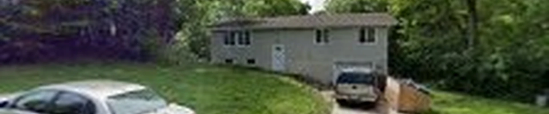Mn Tree Service