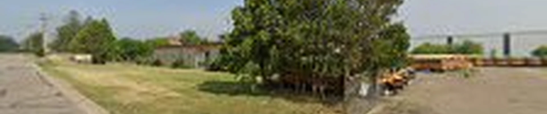 SavATree
