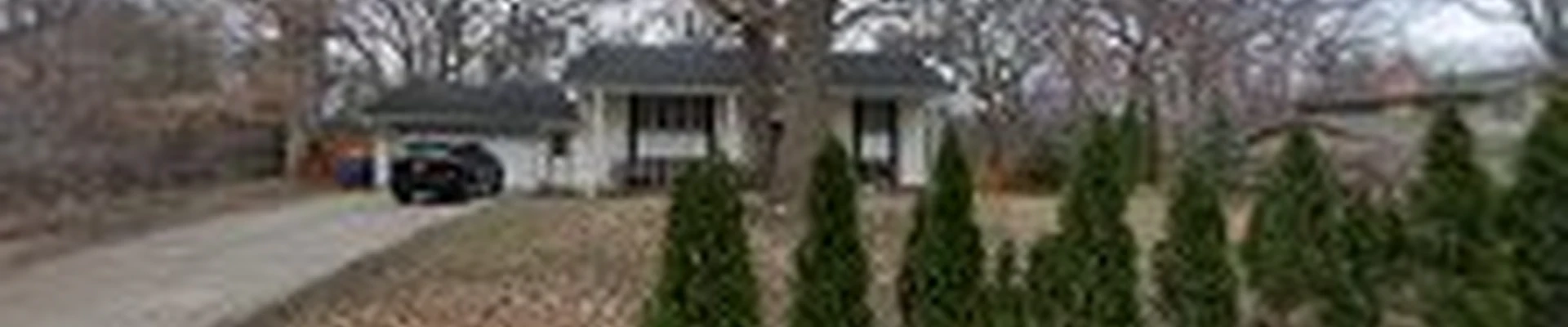 Elijah's Tree Care