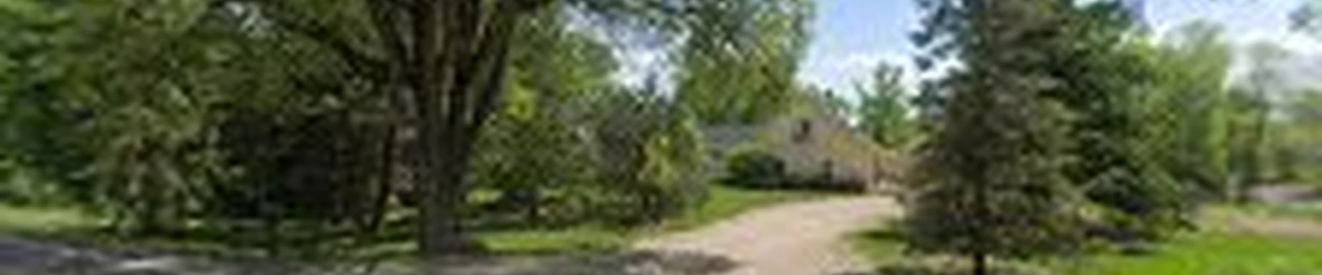 Trees by Forrest | Tree Removal Company in Plymouth, MN