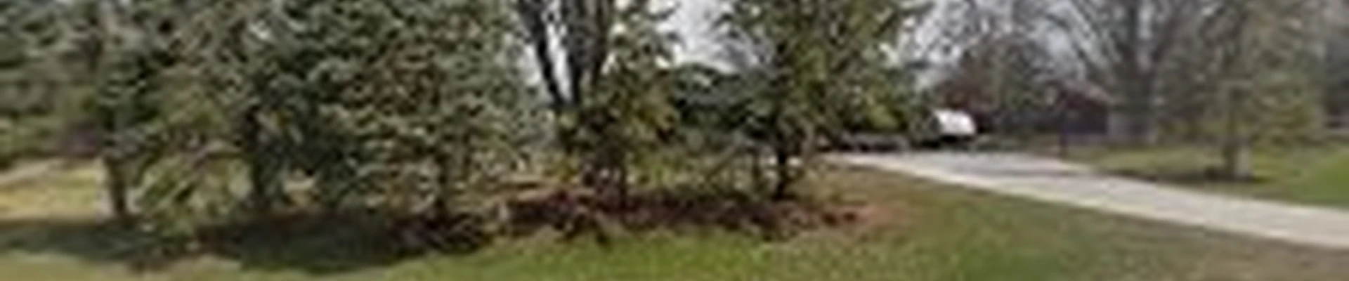 ByeBye Stumps