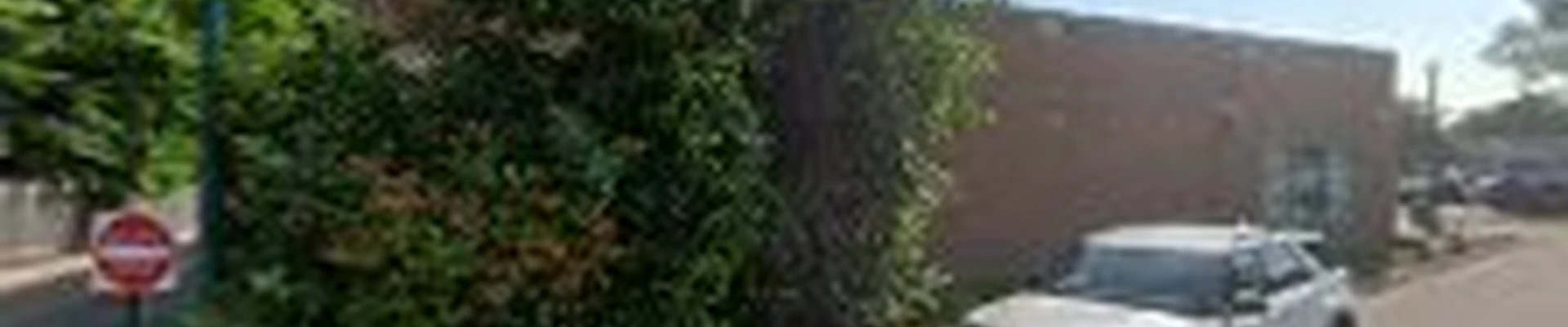 Ostvig Tree Care