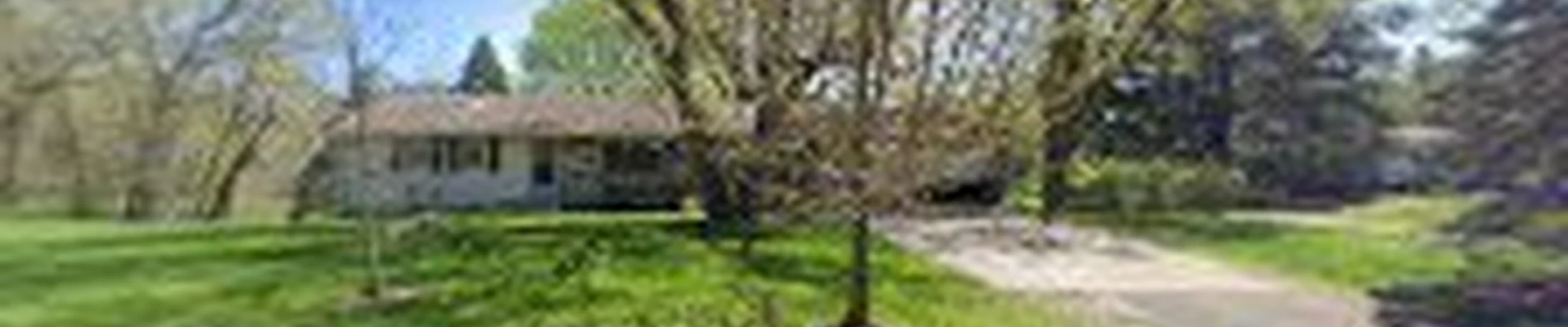 Joey D's Tree Service LLC