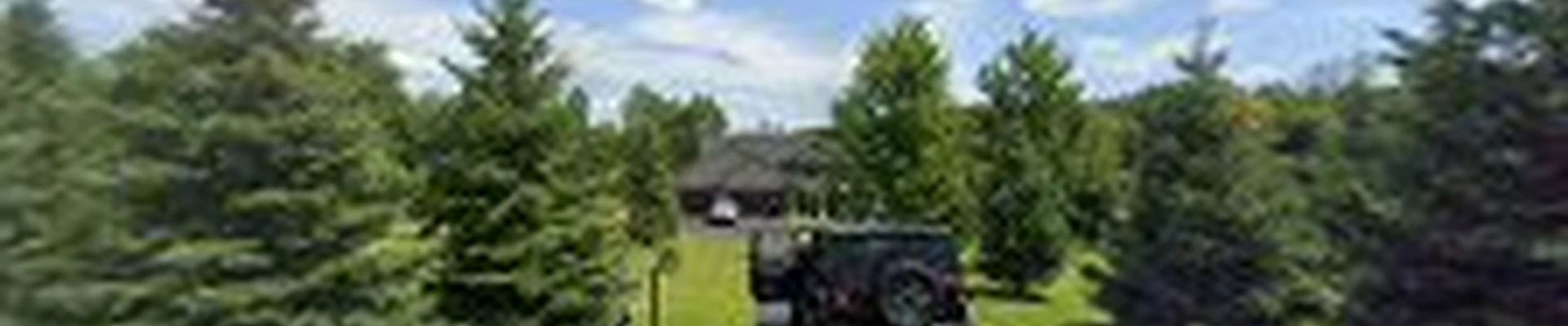 American Family Tree Service LLC