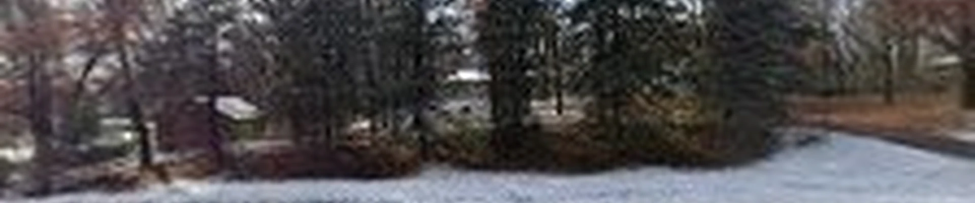 Calabrese Tree Care LLC