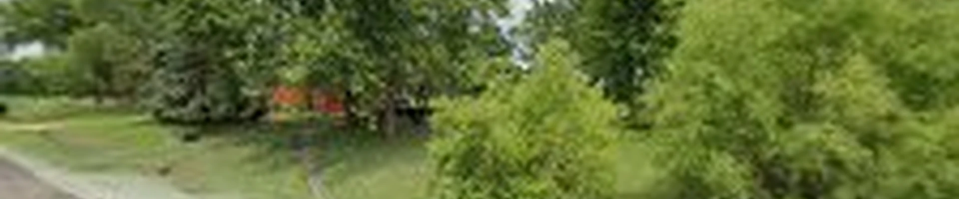 Elevated Arborists