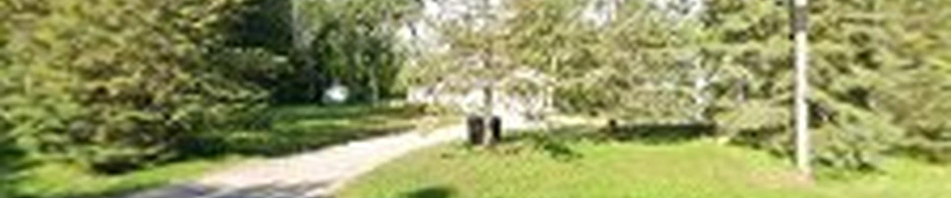 GR Tree Service MN