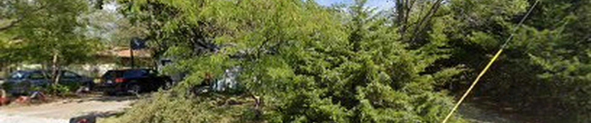 R & R Tree Services