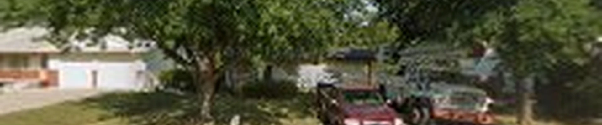 FERG'S TREE SERVICE & REMOVAL