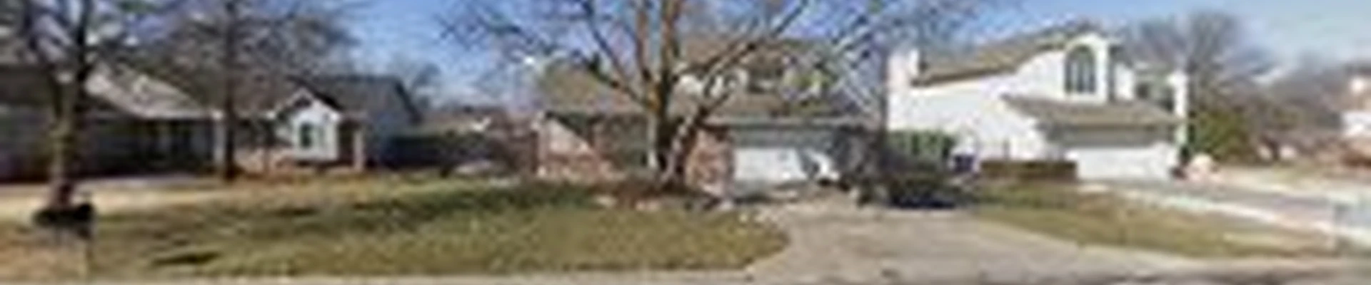 Gomez Lawn Tree