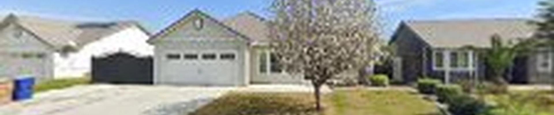T&S Tree Services LLC