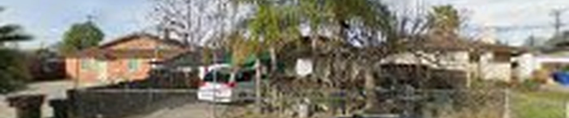 Central Valley Tree Service