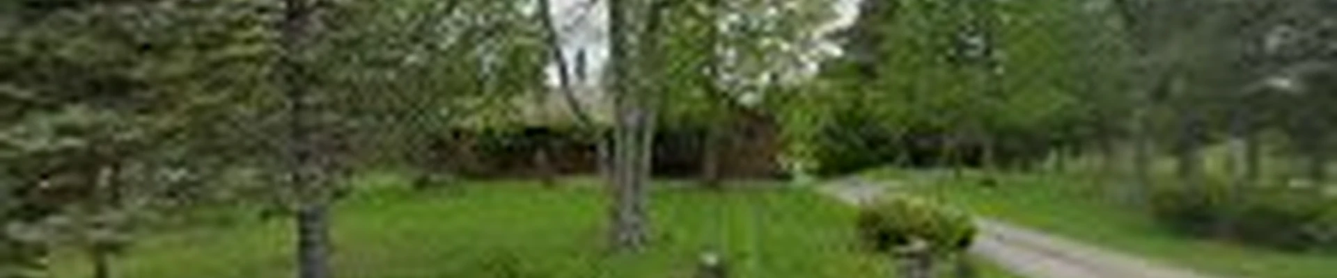 Fred's Tree Farm
