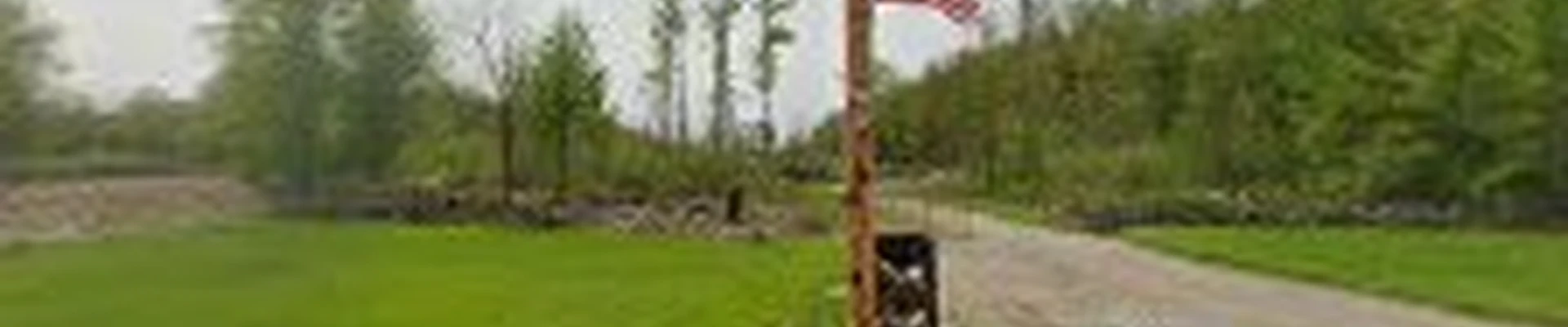 Icon Tree Services