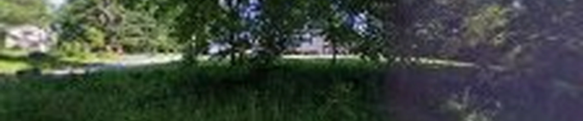 Ghost tree service LLC