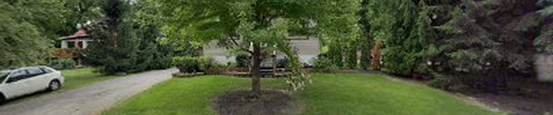 Skyline Tree Service Inc