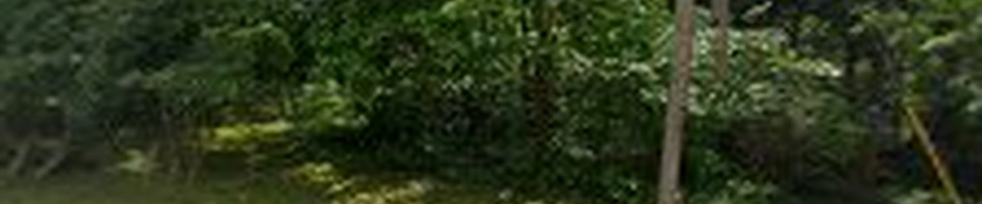 Falls Tree Service Inc.