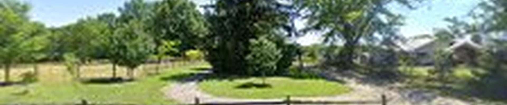 Billiter's Tree Service, LLC