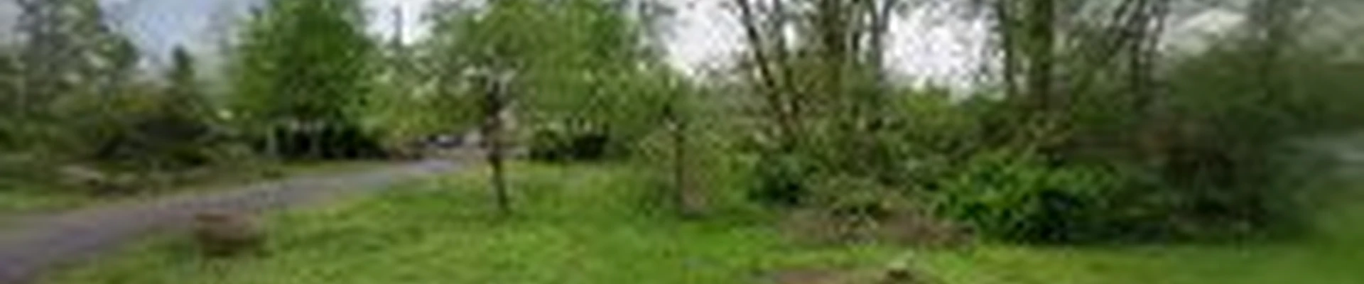 Lamanna Tree Service