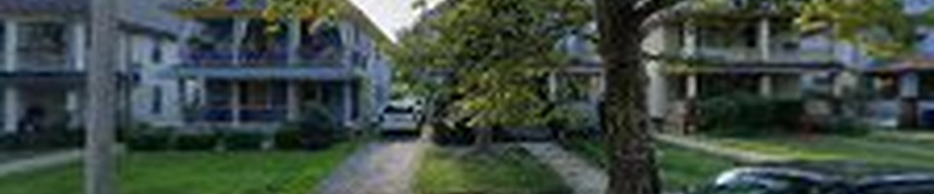 Kenwood Tree Service